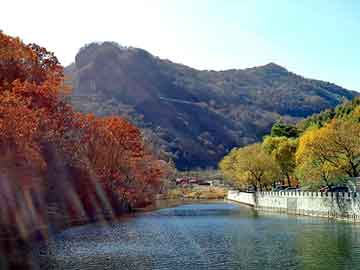 新澳天天免费资料大全，田明建枪战视频